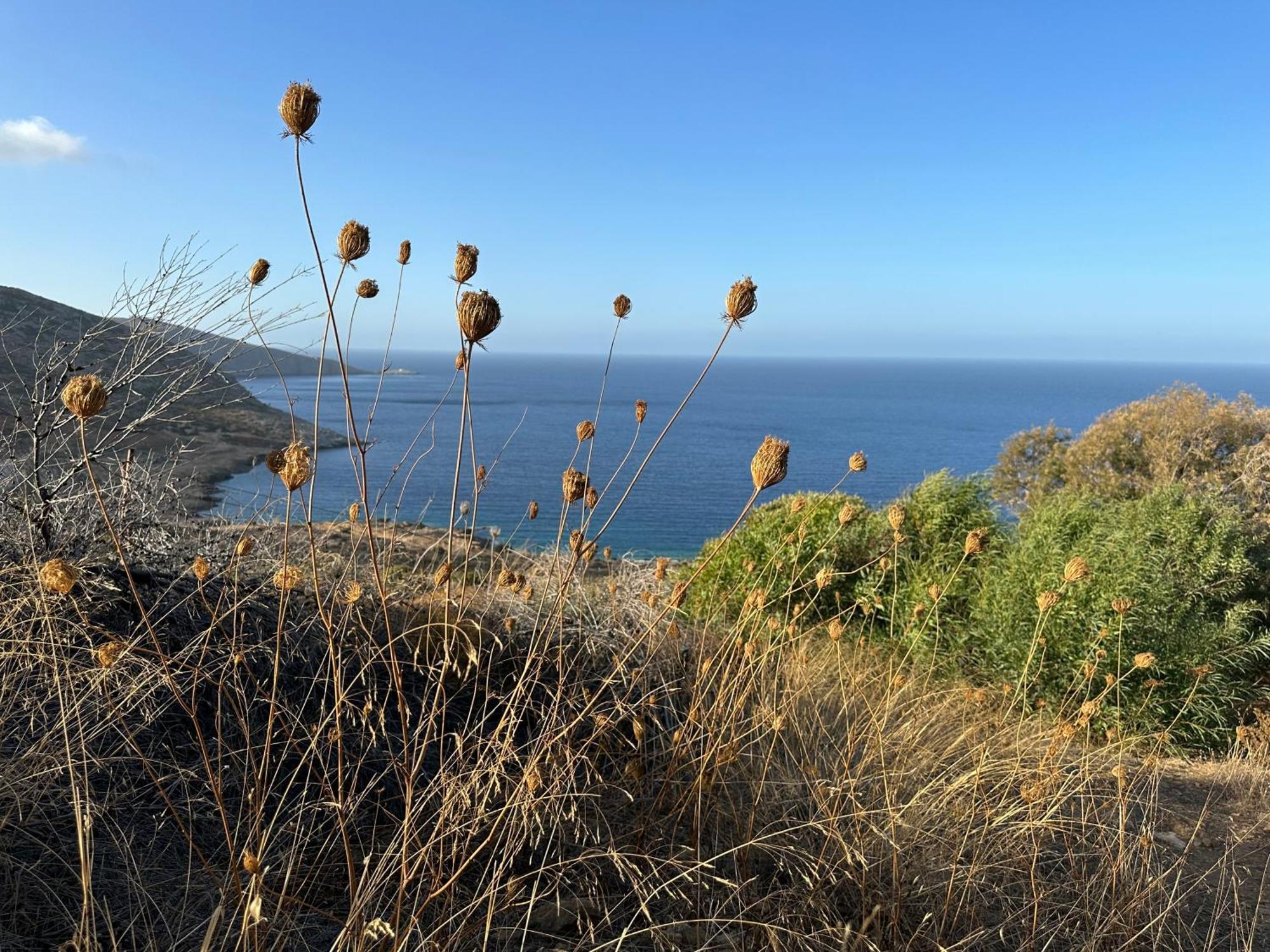 Maison Meltem Agia Pelagia Kythira المظهر الخارجي الصورة